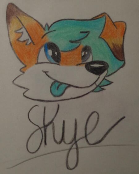 My fursona is a hybrid of a fox and a wolf, his name is Skye and he is a silly little floof boy who just adores cuddles.